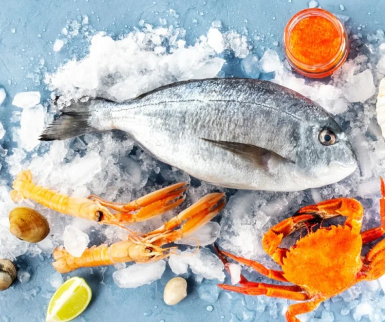 Shrimp Exporter in Bangladesh