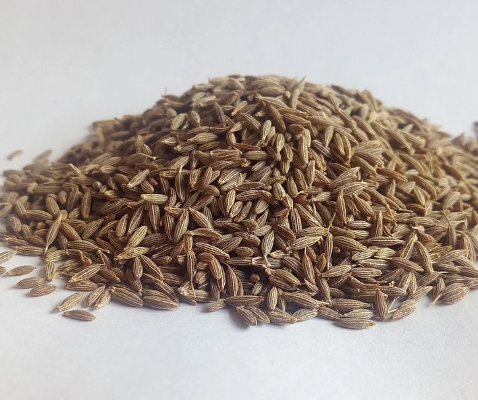 Spices supplier in Dhaka