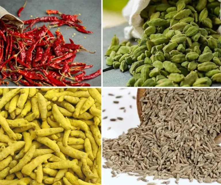 Spice importer in Bangladesh