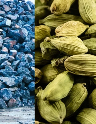 Stone and spice Importer in Bangladesh