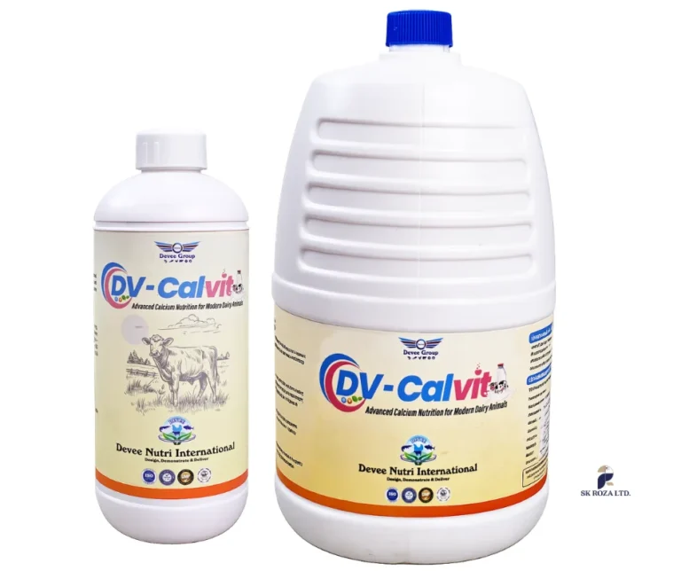 DV-Calvit calcium, vitamin and mineral supplement for dairy cattle – veterinary animal nutrition product in Bangladesh
