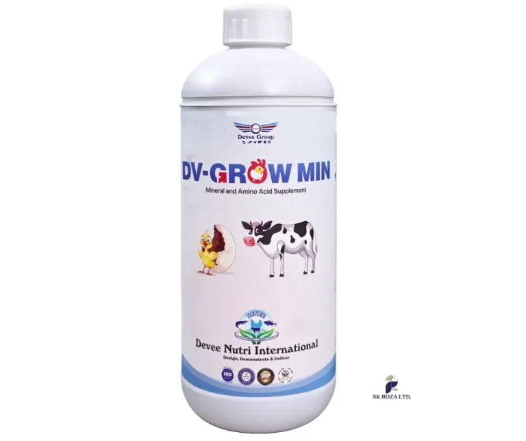DV-Grow Min mineral and amino acid supplement for cattle and poultry in Bangladesh – Devee Nutri International